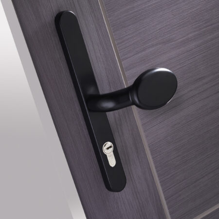 Apex Lever/Pad Door Handle